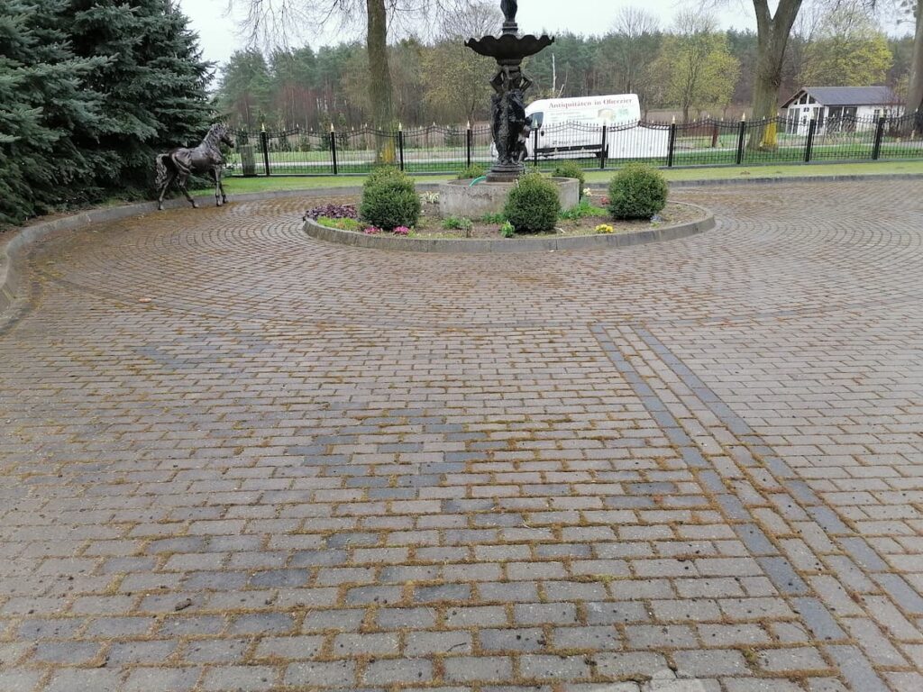 Zabrudzona mchem kostka brukowa w Sierpcu przed czyszczeniem